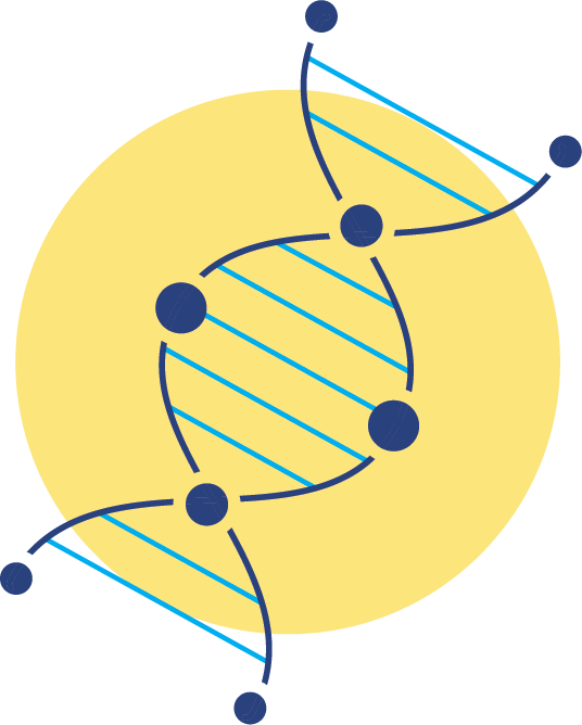 Mepsevii™ Chromosome icon